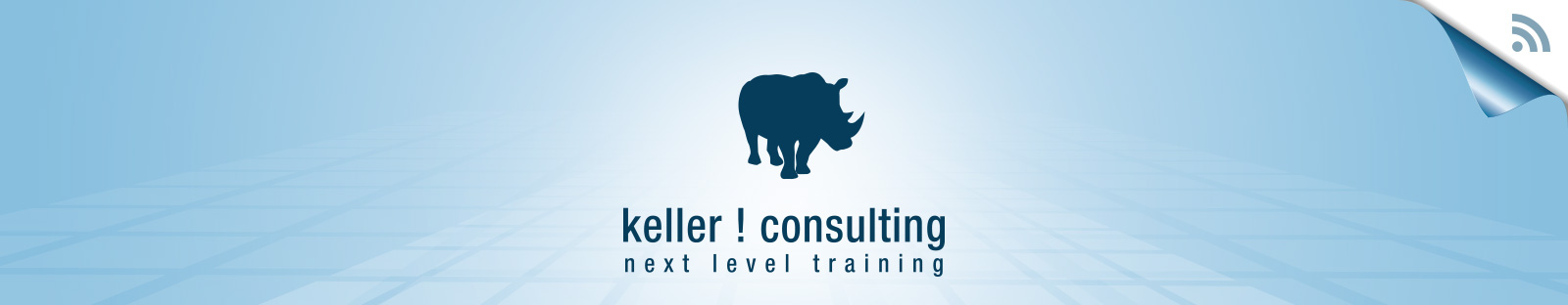 keller ! consulting